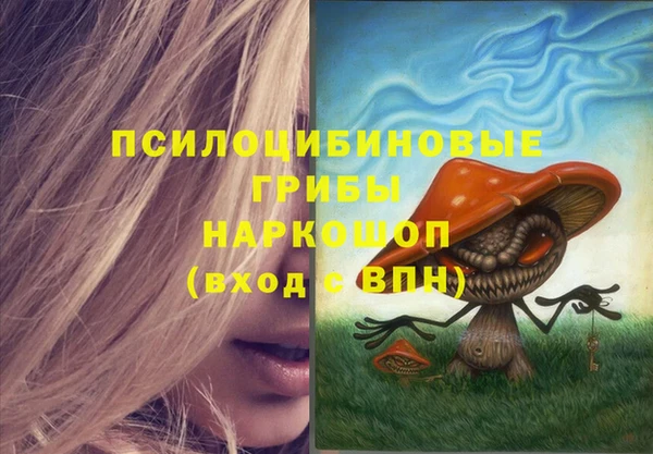 apvp Михайловка