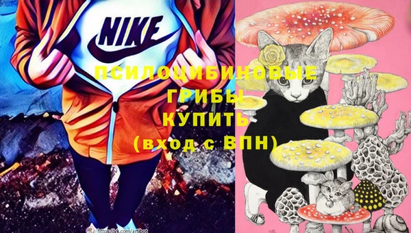 кокаин перу Михайлов