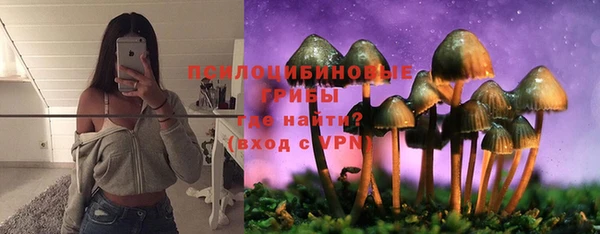 apvp Михайловка