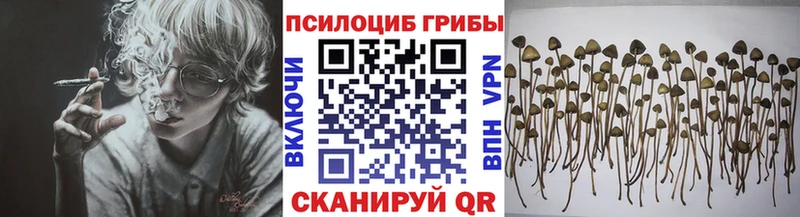 Псилоцибиновые грибы MAGIC MUSHROOMS  где можно купить наркотик  Аксай 