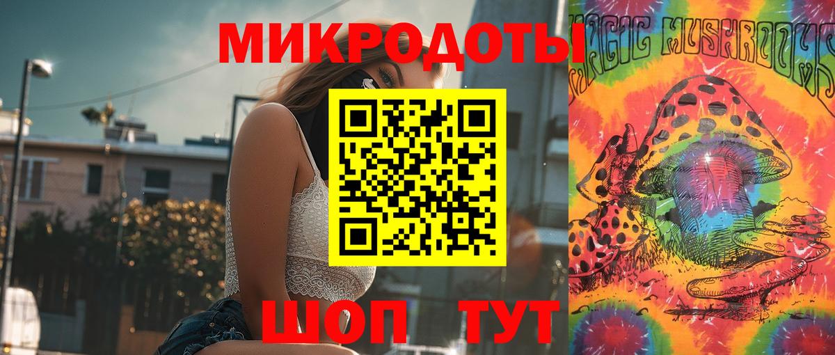 Псилоцибиновые грибы Psilocybine cubensis Аксай