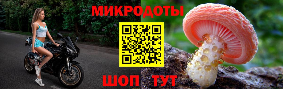 Псилоцибиновые грибы Cubensis  Аксай 