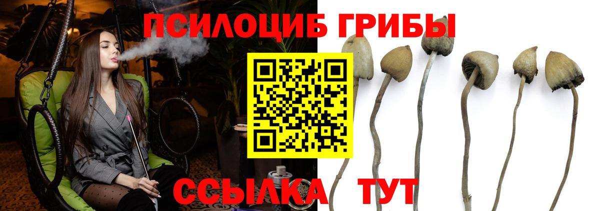 Псилоцибиновые грибы ЛСД  Вход с VPN  Аксай 
